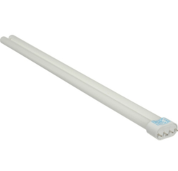 Bombillo Kino 55C-K55