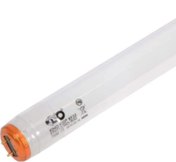 Bombillo Kino 488-K32-S